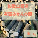 【ふるさと納税】薪 キャンプ用 有田みかんの薪5kg 中太のみ | アウトドアグッズ 人気 おすすめ 送料無料