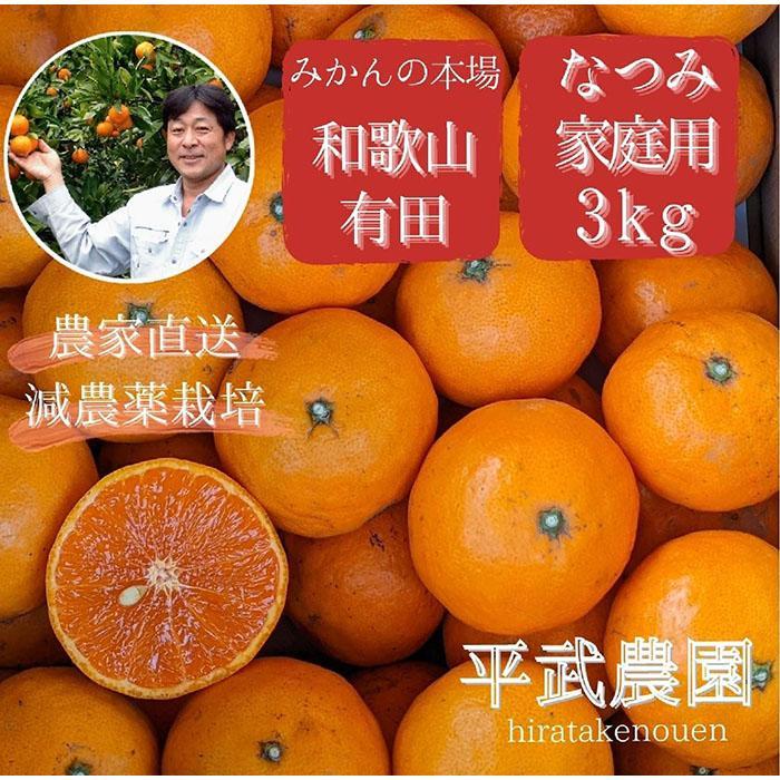 【ふるさと納税】農家直送！なつみオレンジ 家庭用3kg【平武