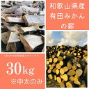 【ふるさと納税】薪 キャンプ用 有田みかんの薪30kg 中太のみ | アウトドアグッズ 人気 おすすめ 送料無料