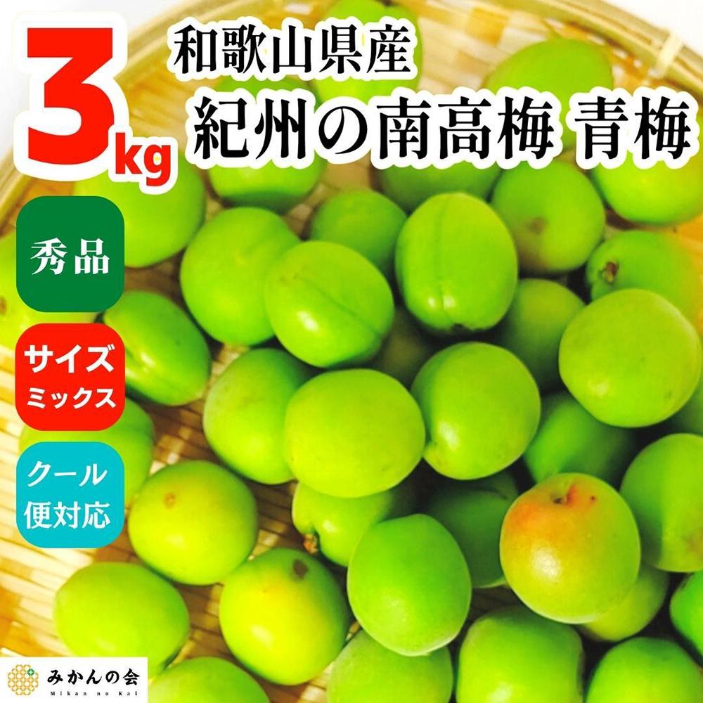 【ふるさと納税】【2024年6月上旬出荷】青梅 南高梅 3kg 秀品 サイズミックス （訳あり） 和歌山県産 A品 梅酒作り用 梅ジュース作り用 | 梅 うめ 南高梅 完熟 生梅 秀品 和歌山県 梅酒用 梅干用 梅シロップ 梅ジャム 送料無料 お土産 取り寄せ