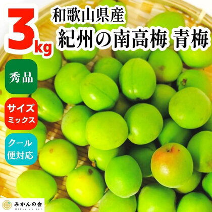 【2024年6月上旬出荷】青梅 南高梅 3kg 秀品 サイズミックス （訳あり） 和歌山県産 A品 梅酒作り用 梅ジュース作り用 | 梅 うめ 南高梅 完熟 生梅 秀品 和歌山県 梅酒用 梅干用 梅シロップ 梅ジャム 送料無料 お土産 取り寄せ