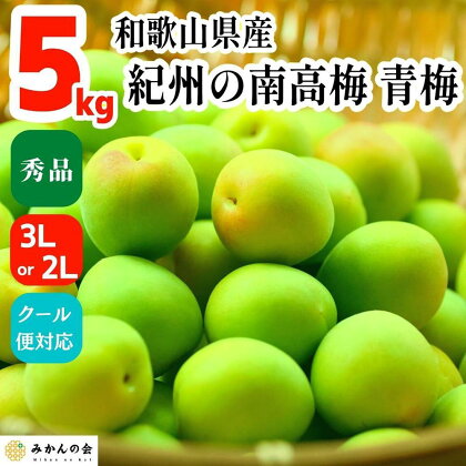 【2024年6月上旬出荷】青梅 南高梅 5kg 秀品 3Lまたは2Lサイズ 和歌山県産 A品 梅酒作り用 梅ジュース作り用 | 梅 うめ 南高梅 完熟 生梅 秀品 和歌山県 梅酒用 梅干用 梅シロップ 梅ジャム 送料無料 お土産 取り寄せ