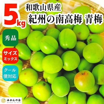 有田 南高梅 5kg 生梅 秀品 A品 | 和歌山 梅 うめ 南高梅 シロップ用 梅干し用 生梅 送料無料 お土産 取り寄せ A品 梅酒用 梅ジュース作り用