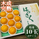 【ふるさと納税】4月 まで 木成 完熟 させた 有田 はっさく 特秀 M × 10玉 化粧箱 南泰園 みかん | 先行予約 和歌山 果物 くだもの フルーツ 柑橘 蜜柑 はっさく 木成り 完熟 特秀 化粧箱 ブランド 取り寄せ ご当地 期間限定
