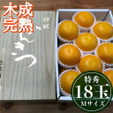 【ふるさと納税】4月 まで 木成 完熟 させた 有田 はっさく 特秀 M × 18玉 2段詰 化粧箱 南泰園 みかん