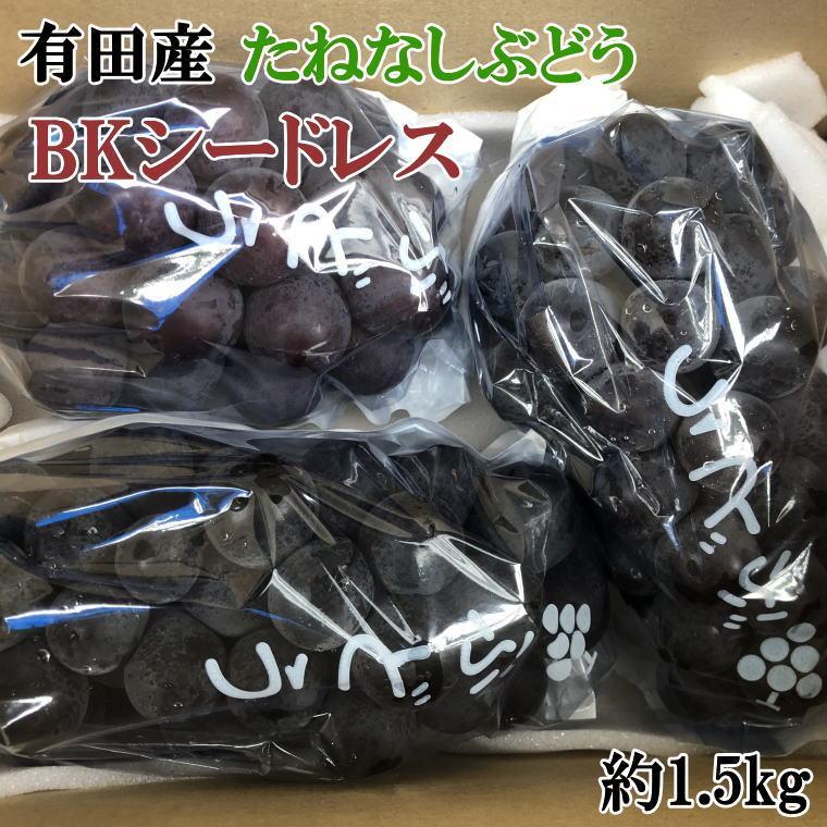 28位! 口コミ数「0件」評価「0」【数量限定】希少なぶどう「BKシードレス」約1.5kg★2024年8月中旬頃より順次発送