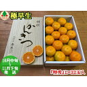 【ふるさと納税】極早生 有田 みかん 化粧箱 特秀 L サイズ 32玉入 南泰園 和歌山 有田みかん(4)