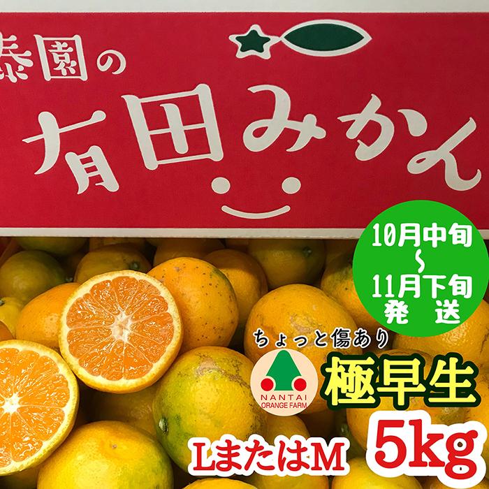 ちょっと 傷あり 極早生 みかん 有田 L または M サイズ 5kg 南泰園