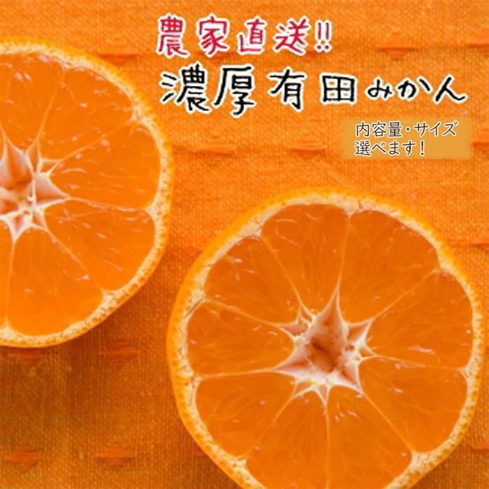 1位! 口コミ数「19件」評価「4.58」農家直送！濃厚有田みかん【先行予約】 | みかん 蜜柑 柑橘 和歌山 果物 先行予約 和歌山県産 フルーツ 農家直送 5kg 濃厚 有田 有･･･ 