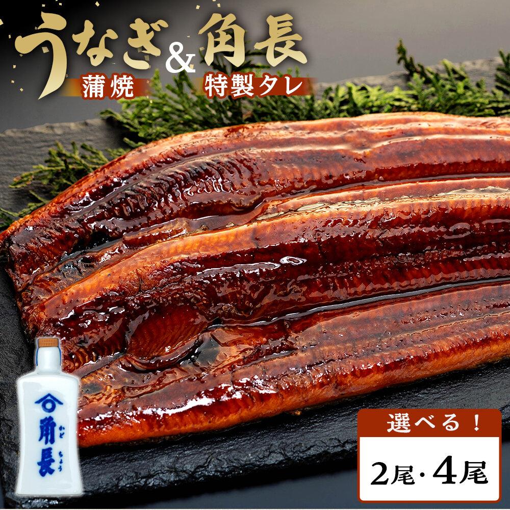 うなぎ蒲焼＆角長特製蒲焼タレセット | うなぎ 鰻 ウナギ 国産 蒲焼き かばやき 冷凍 うな重 ひつまぶし お取り寄せ 和歌山県 有田川町 タレ 山椒 ランキング 人気　特産品 お取り寄せ グルメ プレゼント ギフト 高級 食べ物 食品