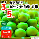 【ふるさと納税】【2025年6月上旬出荷】青梅 南高梅 秀品 和歌山県産 A品 梅酒作り用 梅ジュース作り用 | 梅 うめ 南高梅 完熟 生梅 秀品 和歌山県 ...