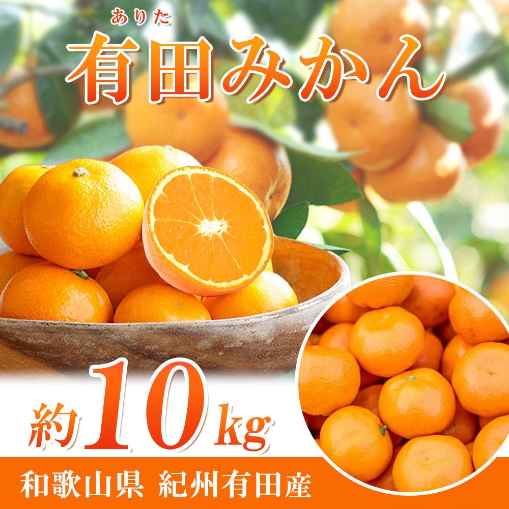 【ふるさと納税】完熟有田みかん 10kg【2025年11月下旬以降発送】【先行予約】【UT11w】 | 先行予約 和歌山 果物 くだもの フルーツ 柑橘 蜜柑 完熟 ブランド 取り寄せ ご当地 期間限定