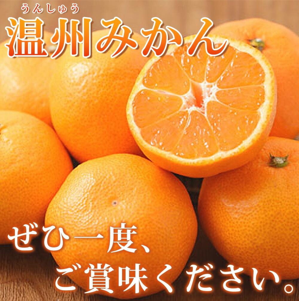 【冷凍】カネク 生ゆずしぼりたて 100g×48個(48×1)
