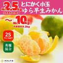 【ふるさと納税】ゆら早生 みかん 小玉ちゃん 箱込 2.5〜10kg 2Sサイズ以下 秀優混合 有田みかん 和歌山県産 【みかんの会】 | 和歌山 フルーツ 果...
