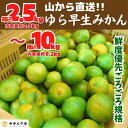 【ふるさと納税】ゆら早生 みかん 山から直送 箱込 2.5〜10kg 採れたてそのままごろごろ規格 有田みかん 和歌山県産 【みかんの会】 | 和歌山 フルーツ...