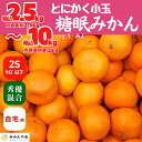 【ふるさと納税】熟成 みかん とにかく 小玉 箱込2.5kg~10kg 2Sサイズ以下 秀品 優品 混合 有田みかん 和歌山産 産地直送 家庭用 【みかんの会】 | 和歌山 フルーツ 果物 くだもの かんきつ 柑橘 柑橘類 みかんの会 送料込み 送料無料
