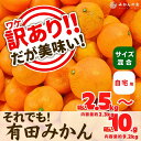 【ふるさと納税】訳あり それでも 有田みかん 箱込 2.5kg〜10kg サイズミックス B品 有田みかん 和歌山県産 産地直送 家庭用【みかんの会】 | フル...