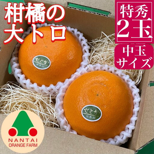 【ふるさと納税】お試し規格 柑橘の大トロ ハウス せとか 厳選 中玉 2玉入 手さげ箱 南泰園 和歌山 有田 | フルーツ 果物 くだもの 食品 人気 おすすめ 送料無料 【ふるさと納税】お試し規格 柑橘の大トロ ハウス せとか 厳選 中玉 2玉入 手さげ箱 南泰園 和歌山 有田 | フルーツ 果物 くだもの 食品 人気 おすすめ 送料無料