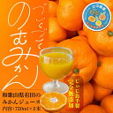 【ふるさと納税】【爽やかなのに濃い!】無添加ストレートみかんジュース 720ml 2本 | ジュース飲料 果実飲料 ドリンク 食品 人気 おすすめ 送料無料