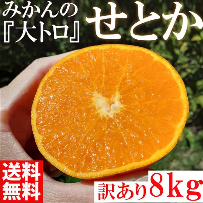 【ふるさと納税】せとか <別名-みかんの大トロ> 和歌山県有田川町産 オレンジ 家庭用 8kg
