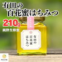 【ふるさと納税】はちみつ 有田の百花蜜蜂蜜 210g 和歌山県産 産地直送 【みかんの会】 | ハニー 食品 人気 おすすめ 送料無料 はちみつ 蜂蜜 ハチミツ
