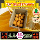 【ふるさと納税】1・4月発送 全2回 定期便 紅はっさく マニア 貯蔵 & 木成完熟 訳あり傷多め L または M 5.5kg 茶箱 和歌山 有田 南泰園 | ...