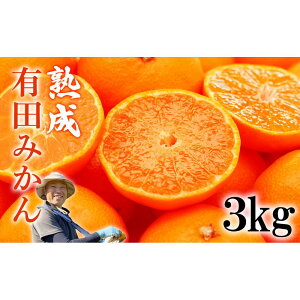【ふるさと納税】熟成 有田みかん 3kg(約30個) | みかん 蜜柑 フルーツ 果物 くだもの 食品 人気 おすすめ 送料無料