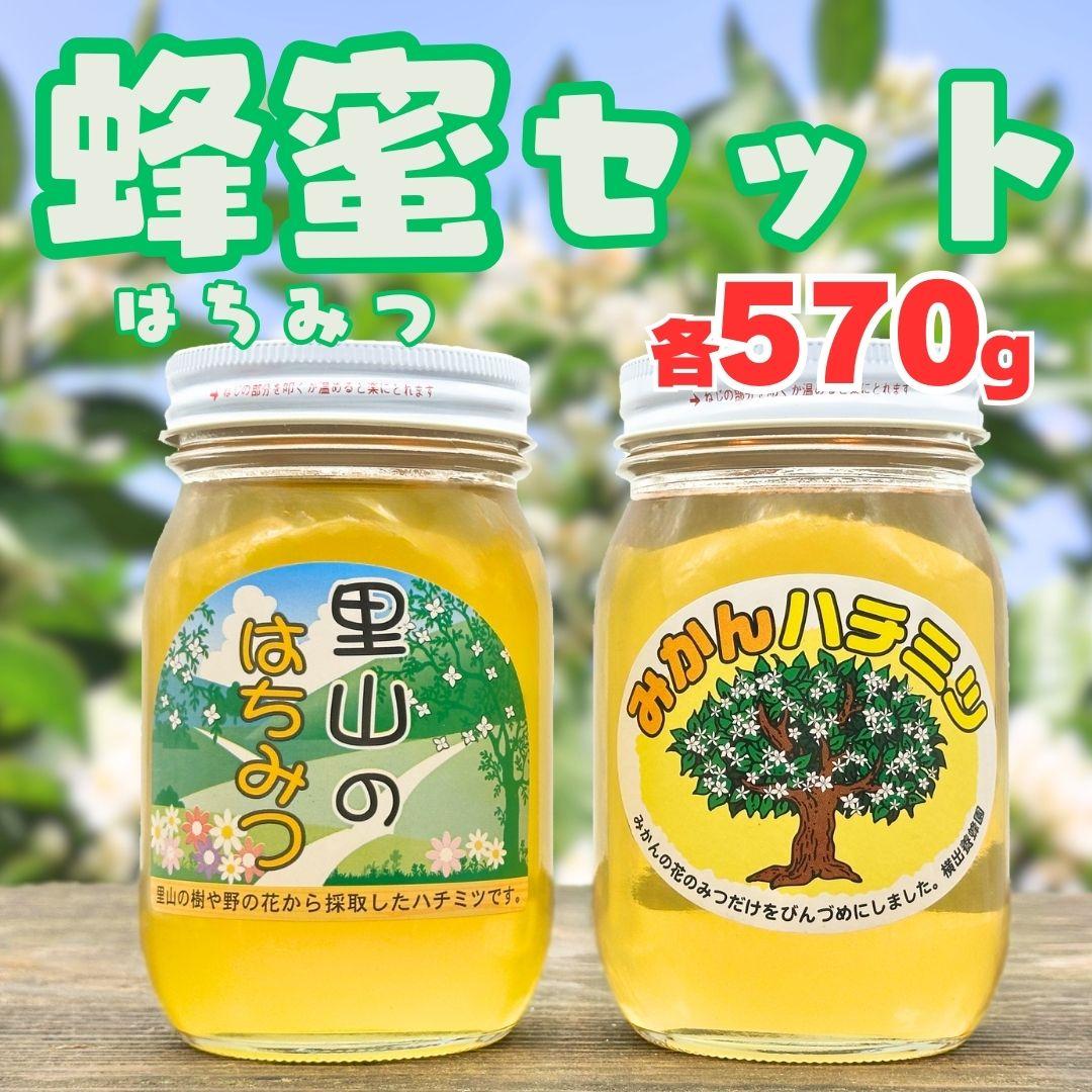 【ふるさと納税】ありだみかん蜂蜜・ありだ里山の蜂蜜(各570g)