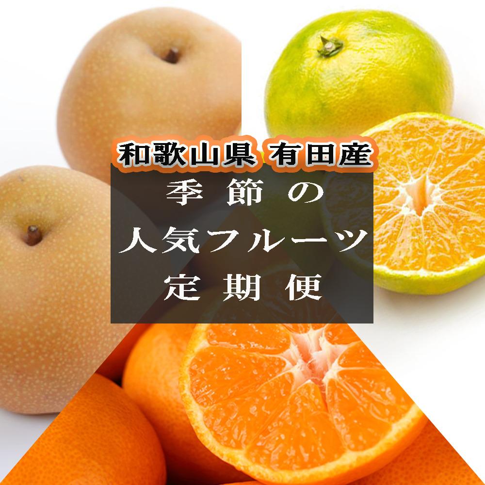 【ふるさと納税】定期便全3回【8月・10月・12月発送】和歌山有田産の季節のフルーツ定期便(梨・ゆら早生みかん・賢みかん) | フルーツ 果物 くだもの 食品 人気 おすすめ 送料無料 定期便 産地直送