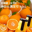 【ふるさと納税】みかん満足セットL | 定期便 全3回 フルーツ みかん 不知火 みかんバター 12月〜2月 | みかん 蜜柑 フルーツ 果物 くだもの 食品 ...