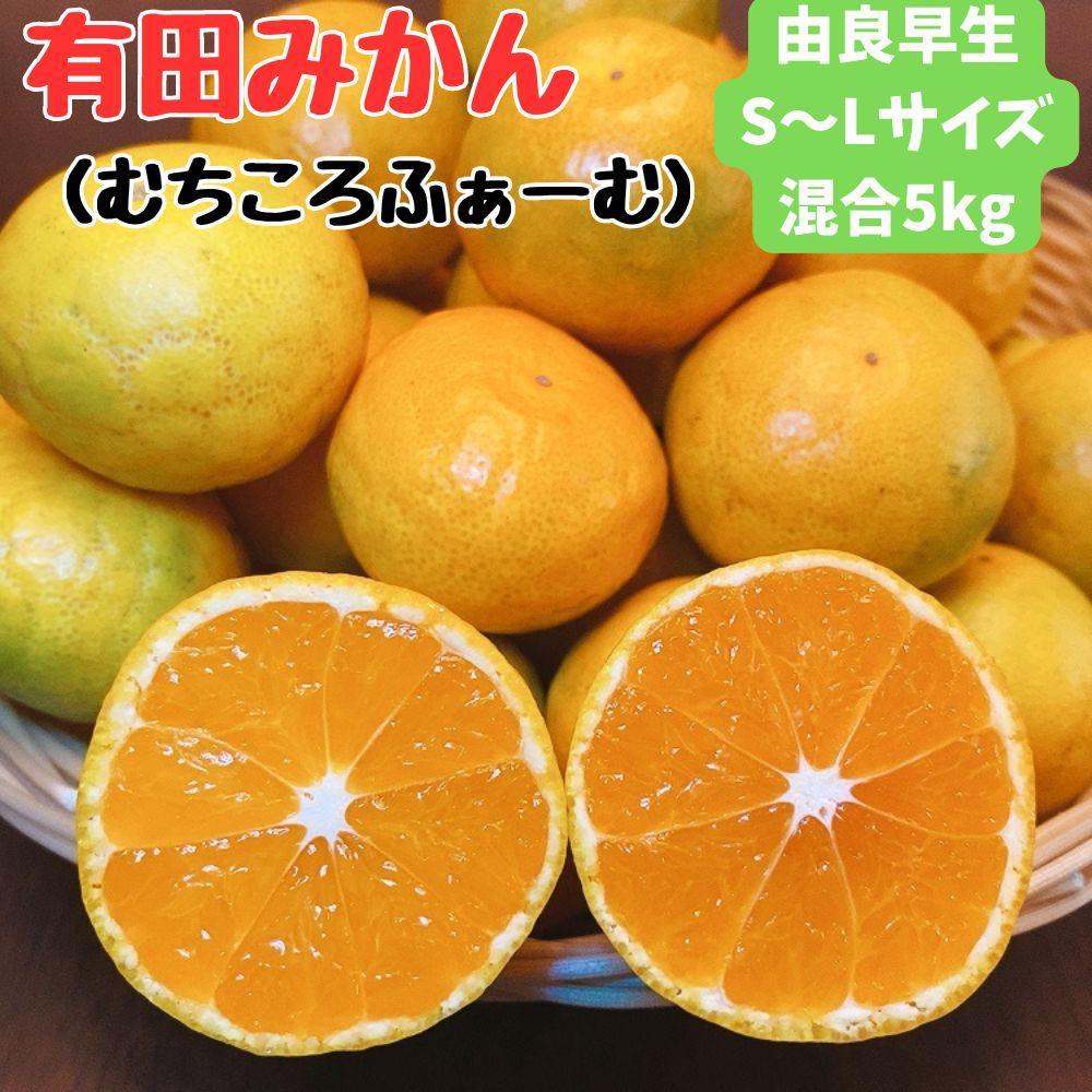 【ふるさと納税】有田みかん 由良早生S~Lサイズ混合 約5kg 【2025年発送 先行予約】 | みかん 蜜柑 フルーツ 果物 くだもの 食品 人気 おすすめ 送料無料