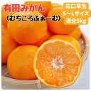 【ふるさと納税】有田みかん 早生S~Lサイズ混合 約5kg【2025年発送 先行予約】 | みかん 蜜柑 フルーツ 果物 くだもの 食品 人気 おすすめ 送料無料