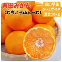 【ふるさと納税】有田みかん 早生S~Lサイズ混合 約10kg【2025年発送 先行予約】 | みかん 蜜柑 フルーツ 果物 くだもの 食品 人気 おすすめ 送料無料