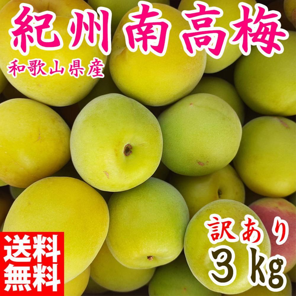 【ふるさと納税】青梅 約3kg 訳あり 紀州南高梅 シロップ・梅酒・梅干し用など 和歌山県有田産 2026年5月下旬〜7月上旬発送予定 | うめ 食品 人気 お...