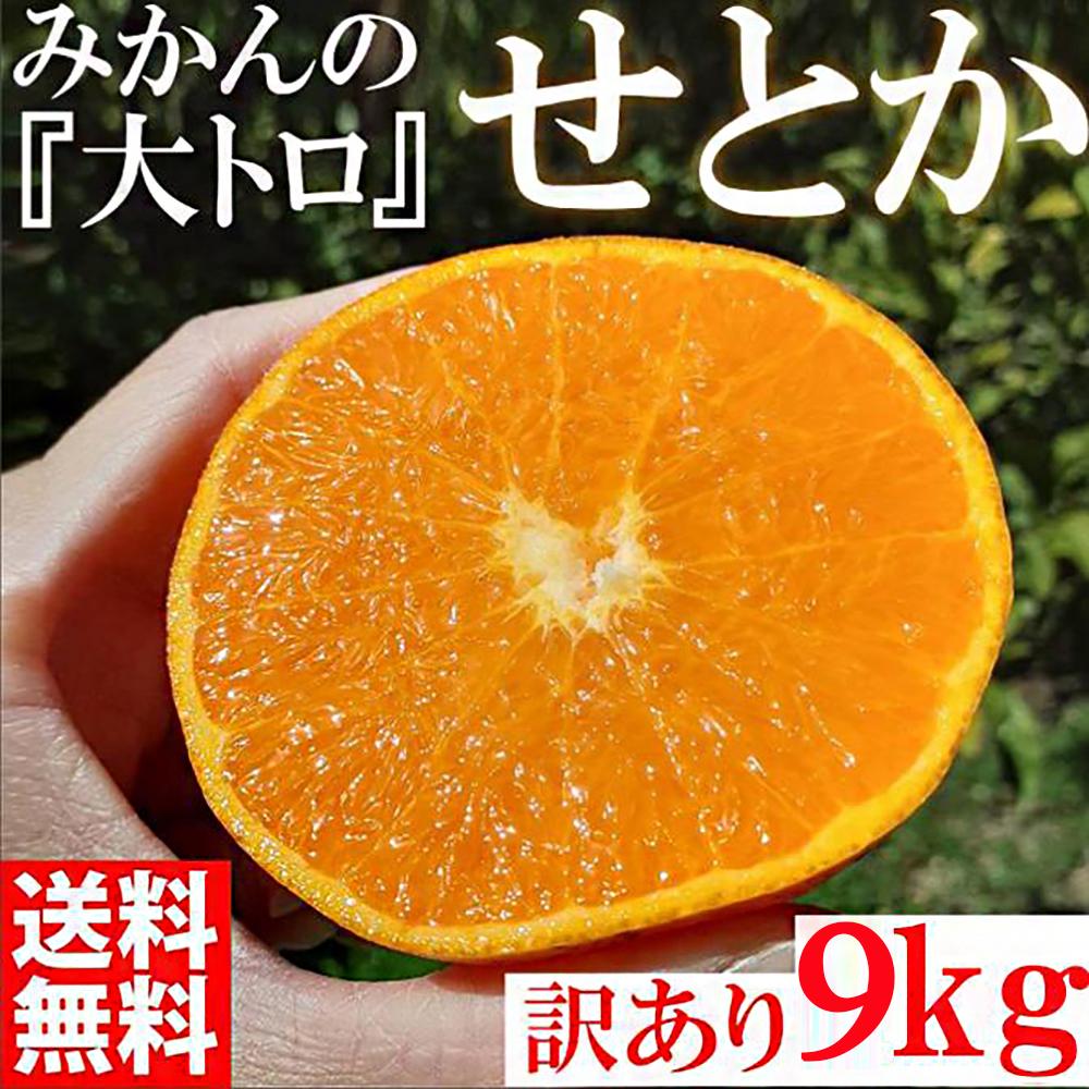 【ふるさと納税】みかん の大トロ せとか 約9kg S～LLサイズ混合 訳あり ブランド 和歌山 有田 みかん 農家直送 オレンジ フルーツ 果物 | みかん 蜜柑 フルーツ 果物 くだもの 食品 人気 おすすめ 送料無料