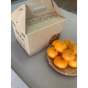 【ふるさと納税】産地直送 有田みかん サイズ 不揃い 約3kg 喜楽farms 【2025年11月以降順次発送】 | みかん 蜜柑 フルーツ 果物 くだもの 食...