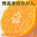 【ふるさと納税】紀州有田産濃厚甘熟温州みかん約2kg (2S 〜 Lサイズのいずれか)【2025年11月下旬以降発送】【先行予約】 | フルーツ 果物 くだもの...