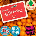 【ふるさと納税】年内発送 完熟早生 有田みかん 特秀 M ~ SS サイズ 3kg 和歌山 南泰園 みかん | みかん 蜜柑 フルーツ 果物 くだもの 食品 人気 おすすめ 産地直送 送料無料