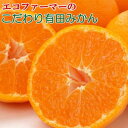 【ふるさと納税】【選べる内容量(5kg・7.5kg・10kg)】エコファーマーのこだわり有田みかん(サイズ混合) ★2025年11月中旬頃より順次発送 | 先行...