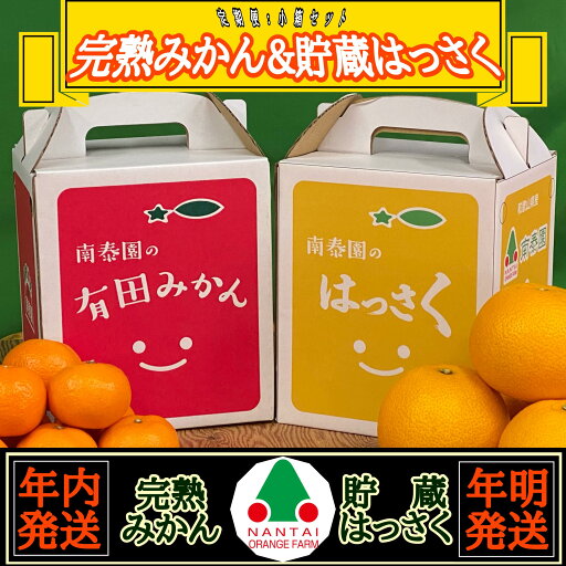 【ふるさと納税】《みかんは年内発送》定期便 手さげ箱 セット 完熟早生 有田みかん & はっさく 全2回 南泰園 【ふるさと納税】《みかんは年内発送》定期便 手さげ箱 セット 完熟早生 有田みかん & はっさく 全2回 南泰園