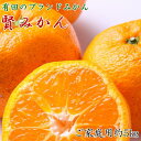 【ふるさと納税】【選べる容量】 有田のブランド「賢みかん」約5kg or 約10kg サイズ混合 ご家庭用【2025年11月中旬頃より順次発送】 | フルーツ 果物 くだもの 食品 人気 おすすめ 送料無料