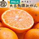 【ふるさと納税】【選べる内容量(2.5kg・5kg・7.5kg・10kg)】家庭用 大玉 有田みかん 訳あり わけあり 光センサー選果 | みかん 蜜柑 フルー...
