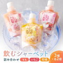 【ふるさと納税】CAS凍結 和歌山県産 飲む シャーベット 詰め合わせ 約150g × 6個 合計約900g もも いちご 柑橘 各種2個ずつ