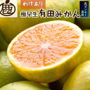 【ふるさと納税】【選べる容量】家庭用 極早生 有田みかん 1kg+250g〜10kg+250g(傷み補償分) YN26 | みかん 蜜柑 フルーツ 果物 くだも...