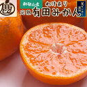【ふるさと納税】【選べる容量】家庭用 完熟有田みかん 1kg〜10kg+250g(傷み補償分) | みかん 蜜柑 フルーツ 果物 くだもの 食品 人気 おすすめ...