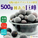 【ふるさと納税】【選べる容量】冷凍 種あり 巨峰 約500g or 約1kg 秀優混合 サイズミックス 和歌山県産 産地直送 ぶどう クール便 【みかんの会】 | 巨峰 葡萄 冷凍 種あり 果物 フルーツ プ 美味しい くだもの 食品 人気 おすすめ 送料無料