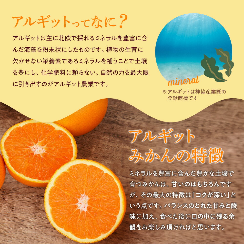 【ふるさと納税】完熟 アルギット みかん 5kg S ～ M サイズ | 年内発送 可 先行予約 みかん 有田みかん 甘い おいしい ジューシー 皮 薄い 完熟 期間限定 フルーツ 果物 人気 おすすめ 高級 こだわり ギフト 旬 お取り寄せ 送料無料 和歌山