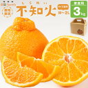 【ふるさと納税】【産地直送】☆不知火☆家庭用☆約3kg | みかん 不知火 柑橘 和歌山 有田 しらぬい 柑橘類 和歌山県 有田川町 果物 フルーツ 家庭用 3kg ふるさと納税 返礼品 故郷納税(4)