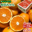 【ふるさと納税】【選べる容量】定期便 訳あり 傷多め 5~7.5kg 全3回 有田みかん 食べくらべ 3種 南泰園 みかん