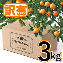 【ふるさと納税】【訳あり】有田みかん 約3kg 家庭用 | みかん 蜜柑 柑橘 フルーツ 果物 くだもの 食品 人気 おすすめ 旬 お取り寄せ 送料無料 和歌山